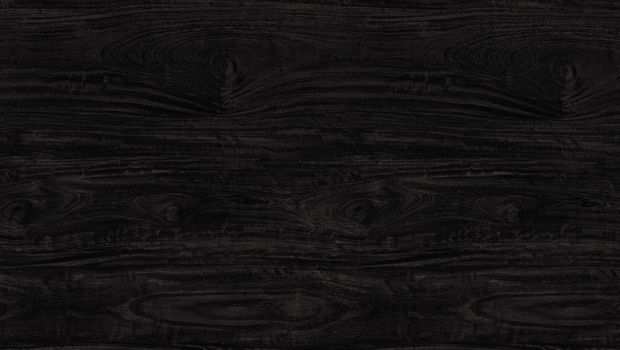 Black wood texture. background old panels. wooden texture