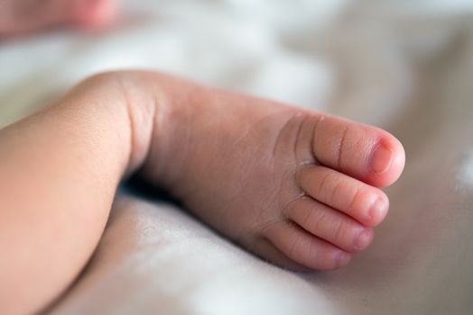 Photo of new born baby feet.