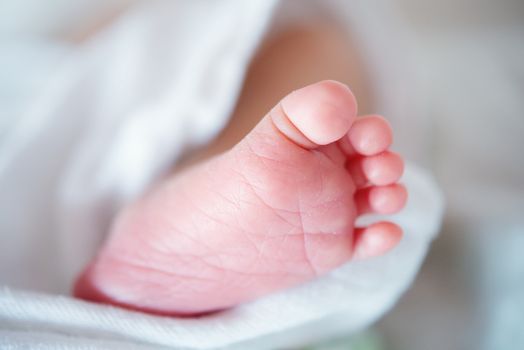 Newborn baby foot, close up.