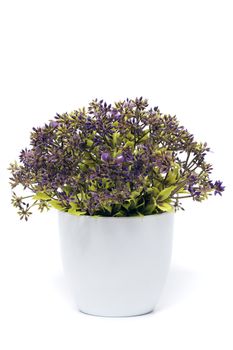 fake plastic plant isolated on a white background.