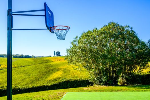 Basketball court in the background of beautiful vineyard