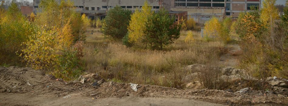ruins of a very heavily polluted industrial factory, industrial series