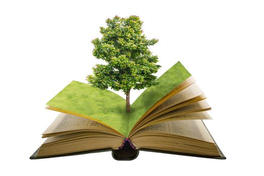 green tree and field grass on open vintage book isolated on white background