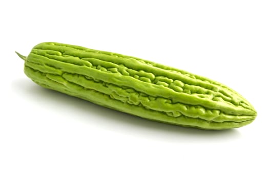 Fresh green bitter cucumber or chinese bitter melon on white background