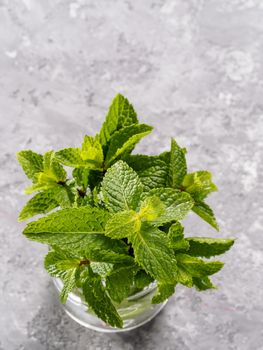 sheaf of fresh mint leaf on gray concrete background. Top view or flat lay. Copy space Vertical.