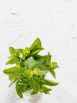 sheaf of fresh mint leaf on gray concrete background. Top view or flat lay. Copy space Vertical.