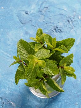 sheaf of fresh mint leaf on gray concrete background. Top view or flat lay. Copy space Vertical.