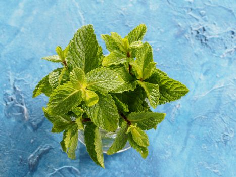 sheaf of fresh mint leaf on gray concrete background. Top view or flat lay. Copy space