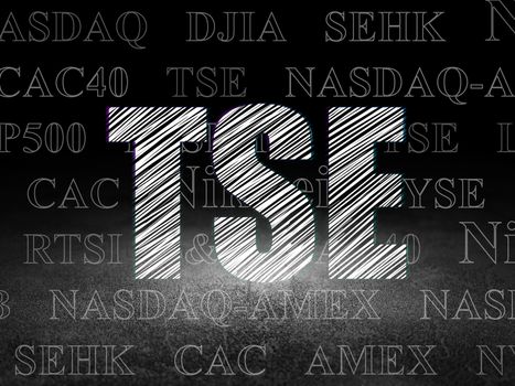 Stock market indexes concept: Glowing text TSE in grunge dark room with Dirty Floor, black background with  Tag Cloud