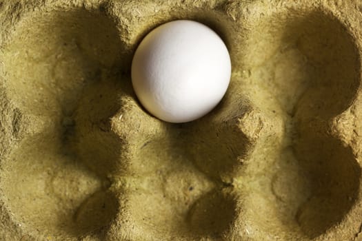 White organic egg in a box consisting 50 percent grass fibers and is fully recyclable.
