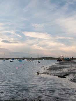 edge of water bay with boats moored in marina west mersea fishing harbor landscape; west mersea, essex, england, uk