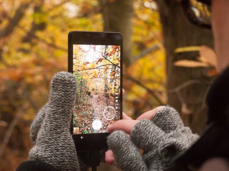 man taking a picture with camera smart phone touch screen nature outside autumn fall; essex; england; uk