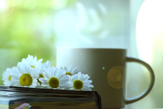 Mug, daisies, Notepad, glasses. The concept of a Sunny summer morning.