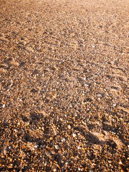 beach floor background texture stones cobbles various wet sun; west mersea, essex, england, uk
