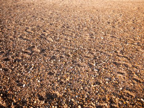 beach floor background texture stones cobbles various wet sun; west mersea, essex, england, uk