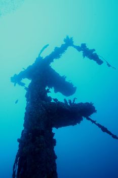 coral life underwater diving safari Caribbean Sea