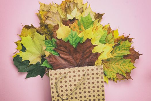 A bouquet of autumn leaves on a light background
