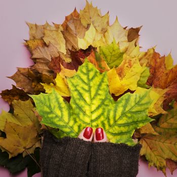 Autumn leaves in her hands