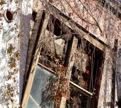 This building has seen better days but I really loved the broken windows and overgrowing vegetation. This building and the town where it sits have seen better days.