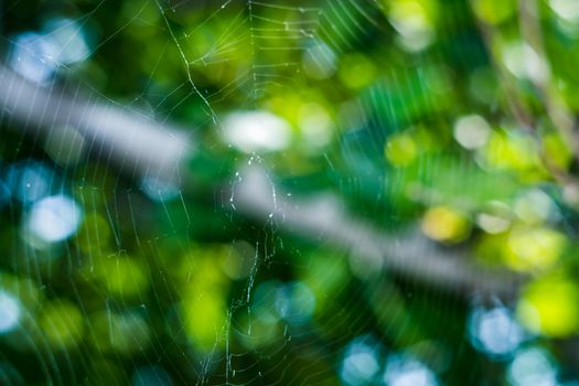 the web on a colored background green blue white color