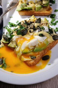 Eggs Benedict on toast with Dutch sauce, slices of avocado