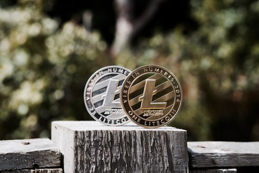 Digital currency physical silver and gold litecoin coins on the wooden fence in garden.