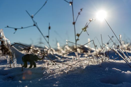 Plasticine elephant winter adventure. Frozen grass. Winter nature.