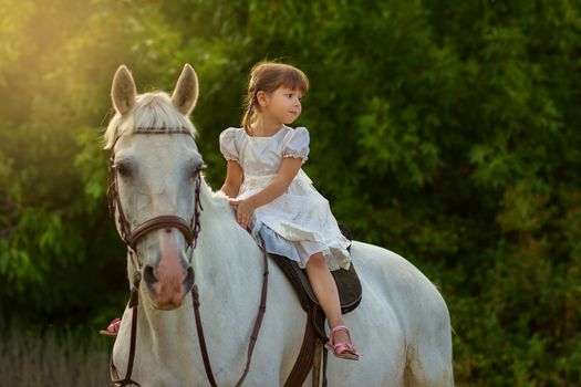 the little girl sits on a white horse astride