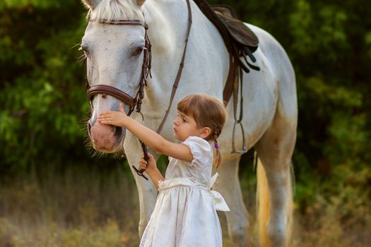 the little girl irons a white horse on a muzzle