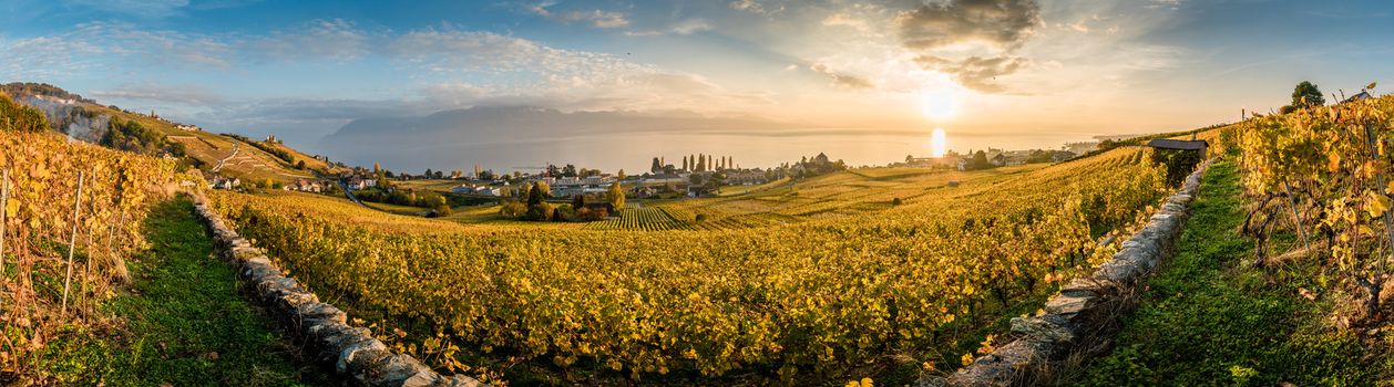 Sunset over geneva lake and vineyards in Lutry, close to Lausanne, with yellow autumn colors