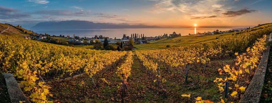 Sunset over geneva lake and vineyards in Lutry, close to Lausanne, with yellow autumn colors