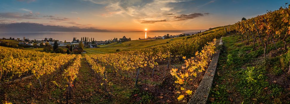 Sunset over geneva lake and vineyards in Lutry, close to Lausanne, with yellow autumn colors