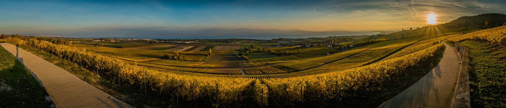 Panorama of vineyards and Geneva lake close to Aubonne in Switzerland