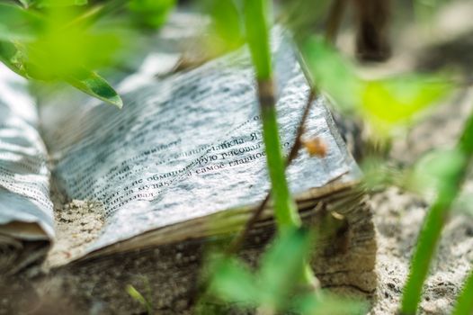 the book on the sand a summer's day the beach Robinson Crusoe