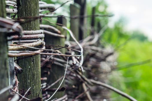 old fence wood barbed wire old photo