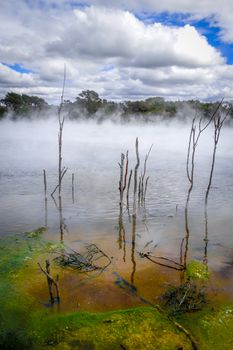 Hot springs lake in Rotorua park, New Zealand