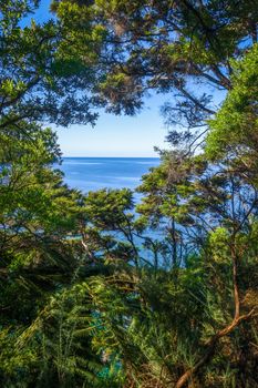 See view from Abel Tasman Coast Track in national park. New Zealand