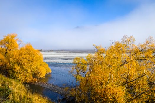 Yellow forest and river in New Zealand Alps