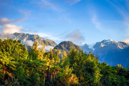 Franz Josef glacier and rain forest landscape, New Zealand