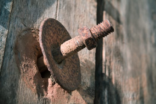 The screw nut is rust on old wood floor.