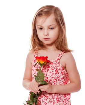 Little Girl Holding Rose isolated on white