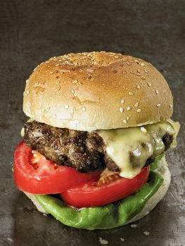 close up of rustic american hamburger