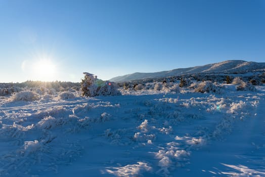 Beautiful nature in Russia, Stary Krym.