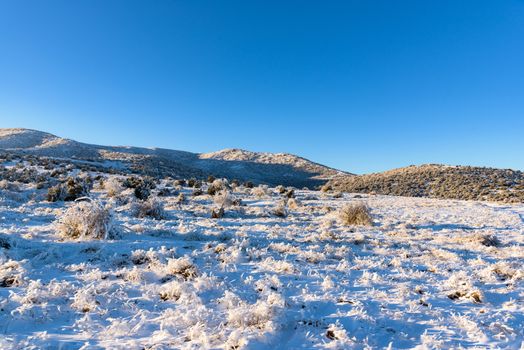 Winter landscape field with mountain and frozen bushes