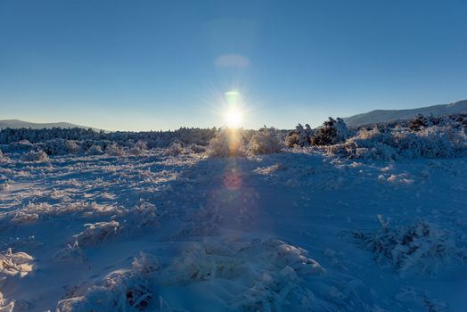 Beautiful sunny evening in Russia, Stary Krym.