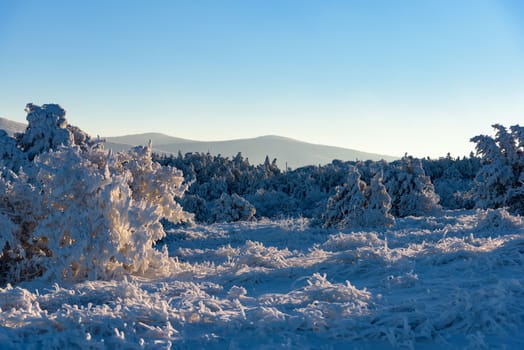 Beautiful nature in Russia, Stary Krym.