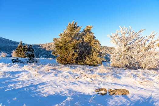 Beautiful nature in Russia, Stary Krym.