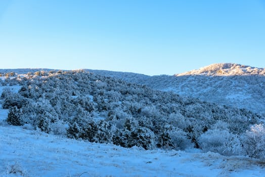 Beautiful nature in Russia, Stary Krym.