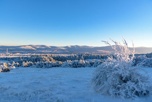 Beautiful frozen nature of Crimea