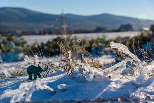 Plasticine elephant winter adventure. Frozen grass.